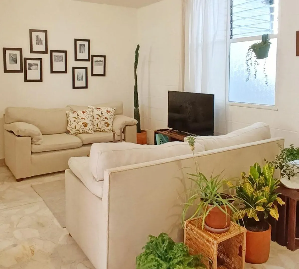 Acogedor Apartamento En Laureles Medellin 0*,